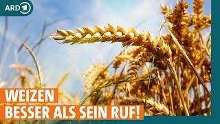 Weizen: Wie ungesund ist das Getreide wirklich? | ARD GESUND