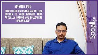 How to add an Instagram follow button to your website that actually brings you followers organically