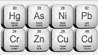 Risk of dementia and heavy metals in your urine. What is the link? New study just published.