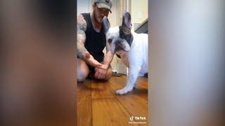 TikTok Tuesday: Cute Animal Edition