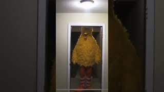 Big bird kicking down door meme