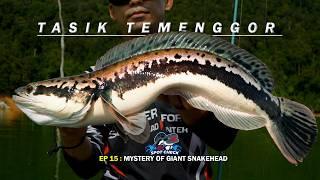 LAGENDA TOMAN MONSTER [EXP SPOTCHECK EP15]