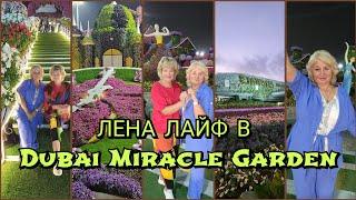 Отдых в Дубае в декабре Море Можно ли купаться Dubai Miracle Garden Цены Что посмотреть?