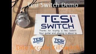 tesi switch ibanez jem jr