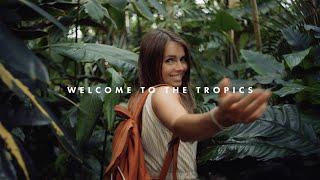 Welcome to the tropics | BMPCC 4k + TTArtisan 40mm Macro (BRAW LUT-22)