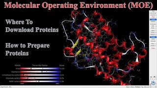 How To Download And Prepare Proteins In MOE | MOE Tutorial