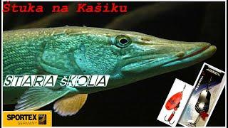 "STARA ŠKOLA" ŠTUKA NA KAŠIKARU - KANAL PECANJE RIBOLOV PIKE FISHING