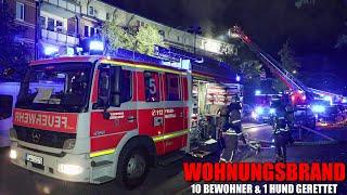 [WOHNUNGSBRAND MIT UMFANGREICHER MENSCHENRETTUNG!] - 10 Bewohner & 1 Hund gerettet ~ Düsseldorf -