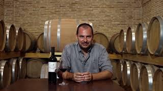 Lion - Agiorgitiko Virtual Wine Tasting Giannikos Winery