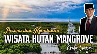 LUAR BIASA !!! PESONA WISATA HUTAN MANGROVE LANGSA