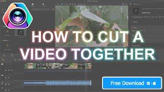 How To Cut and Edit A Video Fast in VideoProc Vlogger (Free)