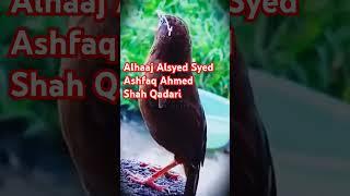 Allah  Ko Yadh Karro#Alsyed Syed Ashfaq Ahmed Shah Qadari#Gulbarga-KS#Nice