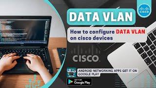 Configure Data VLAN on Cisco Devices | Network Handbook