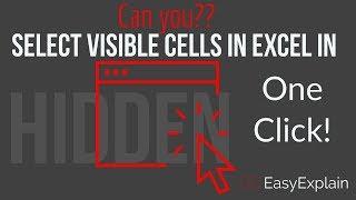 Select Visible Cells in Excel in One Click: Excel Tutorial