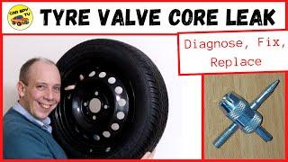 How To Replace Car Tyre Valve Core (Tire Valve Core)