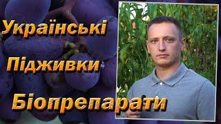 Біопрепарати українського виробництва. Гаубсин Форте, Триходермін, Фітодоктор