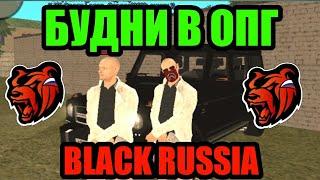 БУДНИ В ОПГ БЛЭК РАША BLACK RUSSIA INDIGO!