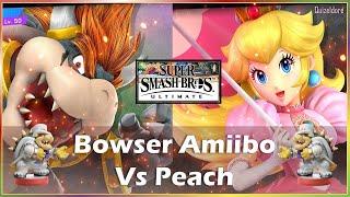 SSBU Bowser Amiibo Series | Bowser vs Peach