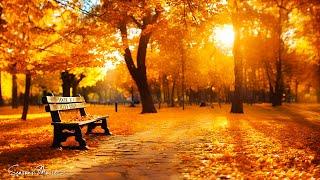 IT'S AUTUMN AGAIN  Collection of the BEST Melodies that give you goosebumps! Music for the soul