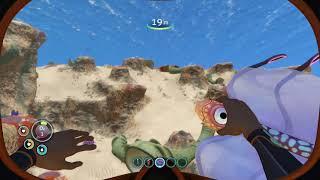 If You Eat Raw Bladder Fish, You Get 15 Seconds Of Air | Subnautica Tip