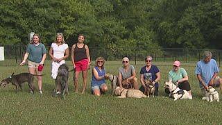 Girl Scout opens community dog park | On the Bright Side
