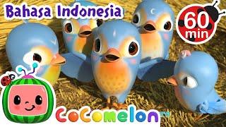 Lima Burung Kecil Silaturahmi | CoComelon Bahasa Indonesia - Lagu Anak Anak | Nursery Rhymes