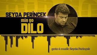 Seyda Perinçek - Min go Dilo