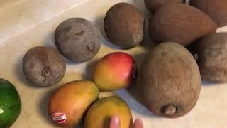 Florida Fruit Haul