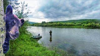 В Этой Таёжной Речке Полно Рыбы. Ловля Ленка. Рыбалка на спиннинг в тайге.