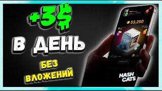 Hash Cats - Обзор | +3$ в день | ГАЙД для новичков