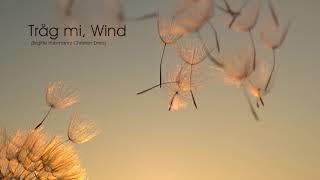 Zlaner Quartett  "Tråg mi, Wind"