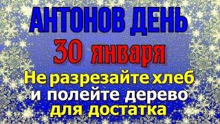 30 ЯНВАРЯ в АНТОНОВ ДЕНЬ не разрезайте хлеб. Обязательно полейте дерево для достатка.