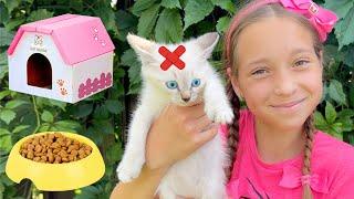 Sofia rescues a lost Kitten and makes a Playhouse