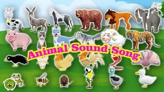 The Animal  Sounds Song || Kids Animal Songs and Nursery Rhymes H13D || EduFam#animals #animalsounds