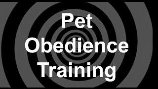 Pet Obedience Training Hypnosis