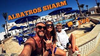 Albatros Sharm Resort # 6 Обзор СПА зоны. Вторник - вечер королевских креветок!