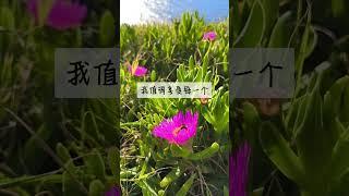 语录扎心 肯定句  #肯定句语录 #正能量 #鼓励 #鼓励 #语录