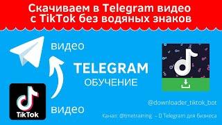 Скачиваем в Telegram видео с TikTok без водяных знаков