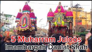 Daulat Shah 5 Muharram Juloos 1446 | Shikarpur Matam | Shikarpur Azadari | Karbala Maula Shikarpur