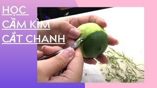 Buổi 1: Học Cách cầm kìm và Cắt chanh | Phượng Phạm Nails | Nails care