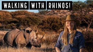 Rhino Safari at Waterburg Plateau Namibia!