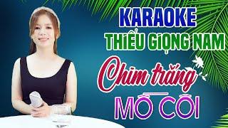 Karaoke Song Ca | CHIM TRẮNG MỒ CÔI - Thiếu Giọng Nam | Song Ca Với Lê Liễu