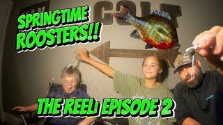 Talking Spring Rooster Fishing! (The Reel)