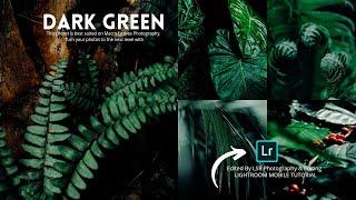 Dark Green Preset - Plants Photography | Free Lightroom Presets XMP & DNG | Lightroom Tutorials