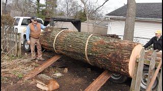 Loading Logs Almost Like They Did With Horses