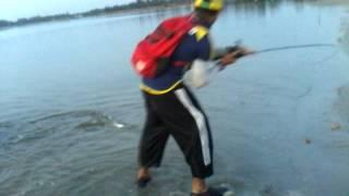 AMOU ANGLER-KOLAM SY-BRO OSMAN-LYN ALU-ALU