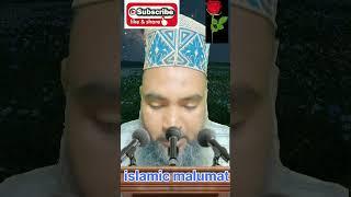 #islamicmalumat #trending #virelshorts