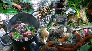 Hunting Deer, Squirrel and Grey peacock-pheasant In The Jungle/Catch & Cook/Yos hav zoov tua kauv