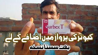 Extra Energy Booster For Pigeon kabootar ki perwaz Badane k le Nuskha (urdu/hindi)