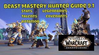 Beast Mastery Hunter Guide 9.1 (stats, talents, rotation, legendaries and covenants)